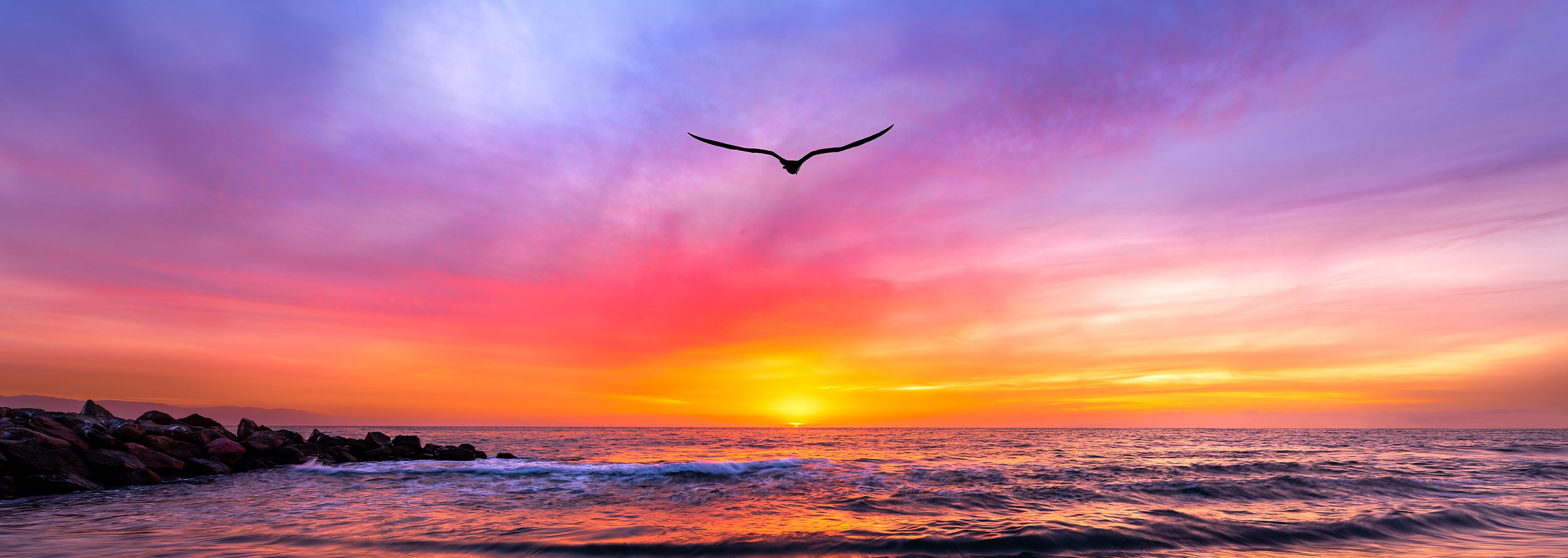 five elements constellation homepage image